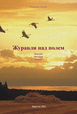 Владимир Киреев Журавли над полем (сборник) обложка книги