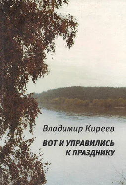 Владимир Киреев Вот и управились к празднику (сборник) обложка книги