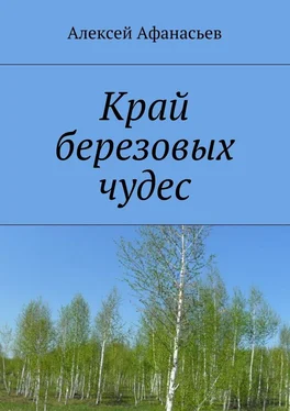 Алексей Афанасьев Край березовых чудес обложка книги