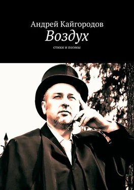 Андрей Кайгородов Воздух обложка книги