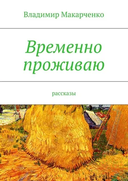 Владимир Макарченко Временно проживаю обложка книги