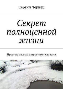 Сергий Чернец Секрет полноценной жизни обложка книги