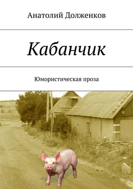 Анатолий Долженков Кабанчик обложка книги