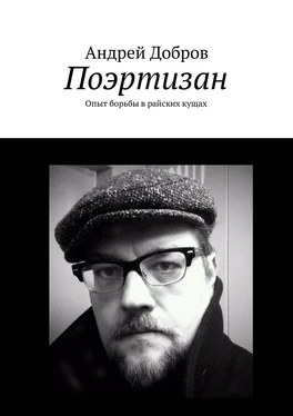 Андрей Добров Поэртизан обложка книги