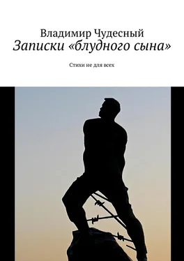 Владимир Чудесный Записки «блудного сына» обложка книги