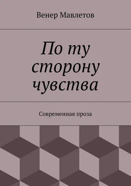 Венер Мавлетов По ту сторону чувства обложка книги