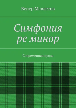 Венер Мавлетов Симфония ре минор обложка книги