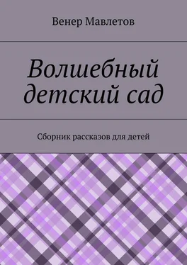 Венер Мавлетов Волшебный детский сад обложка книги