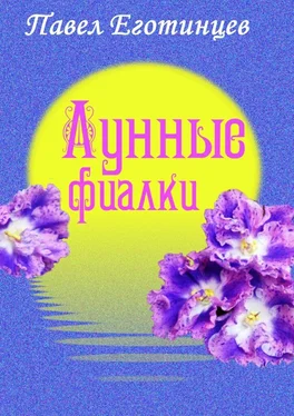 Павел Еготинцев Лунные фиалки обложка книги