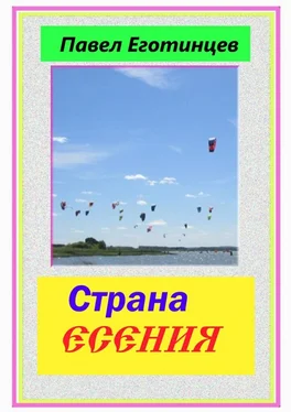 Павел Еготинцев Страна Есения обложка книги