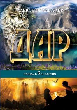 Алексей Палысаев Дар обложка книги