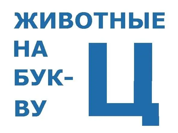 Цапля Цапнула Цапля в протоке лягушку Следом за ней Цапля цапнула рыбу На - фото 1