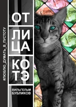 Вильгельм Бубликов От лица котэ обложка книги