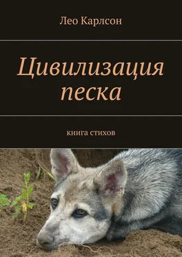 Лео Карлсон Цивилизация песка обложка книги