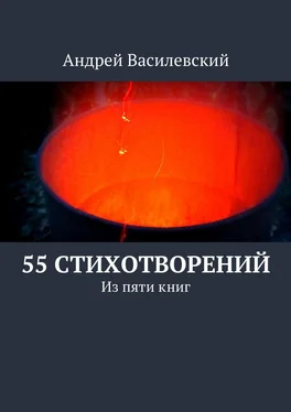 Андрей Василевский 55 стихотворений обложка книги