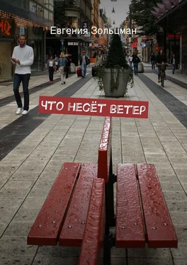 Евгения Зольцман Что несёт ветер обложка книги
