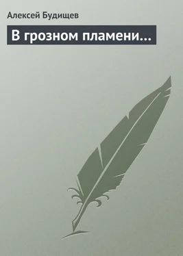 Алексей Будищев В грозном пламени… обложка книги