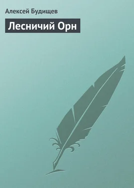 Алексей Будищев Лесничий Орн обложка книги