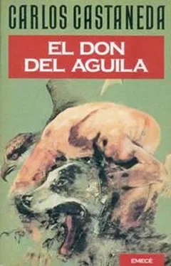 Carlos Castaneda El Don Del Águila