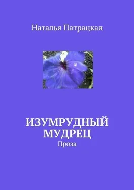 Наталья Патрацкая Изумрудный мудрец обложка книги