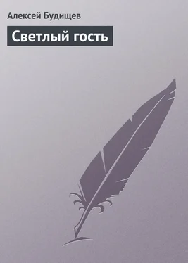 Алексей Будищев Светлый гость обложка книги