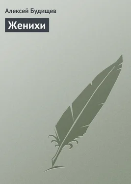 Алексей Будищев Женихи обложка книги