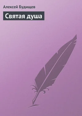 Алексей Будищев Святая душа обложка книги