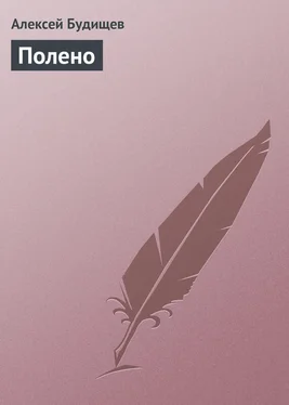 Алексей Будищев Полено обложка книги