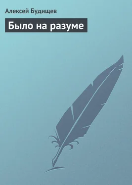 Алексей Будищев Было на разуме обложка книги