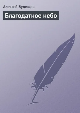 Алексей Будищев Благодатное небо обложка книги