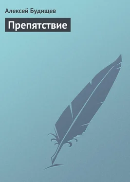 Алексей Будищев Препятствие обложка книги