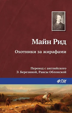 Томас Майн Рид Охотники за жирафами обложка книги