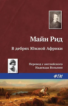 Томас Майн Рид В дебрях Южной Африки, или Приключения бура и его семьи обложка книги