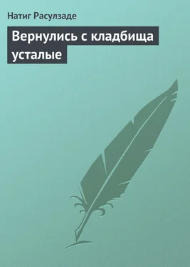 Натиг Расулзаде Вернулись с кладбища усталые обложка книги