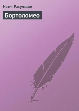 Натиг Расулзаде Бортоломео обложка книги