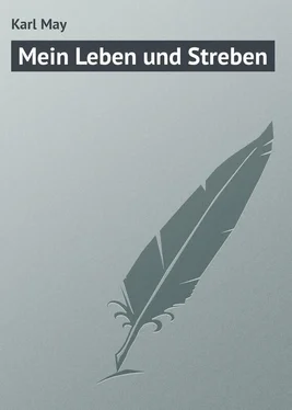 Karl May Mein Leben und Streben обложка книги