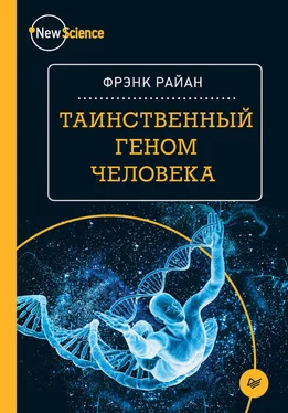 Фрэнк Райан Таинственный геном человека обложка книги