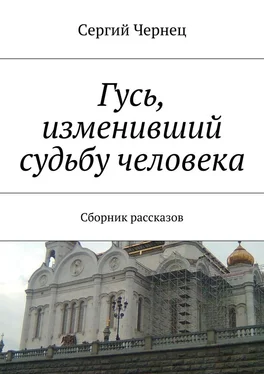 Сергий Чернец Гусь, изменивший судьбу человека обложка книги