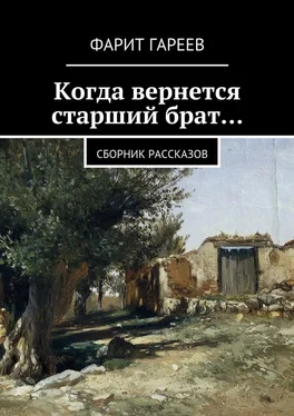 Фарит Гареев Когда вернется старший брат… обложка книги