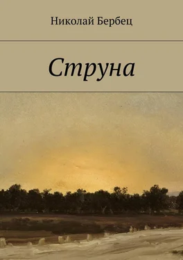 Николай Бербец Струна обложка книги