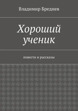 Владимир Бреднев Хороший ученик обложка книги