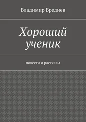 Владимир Бреднев - Хороший ученик