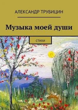 Александр Трубицин Музыка моей души обложка книги