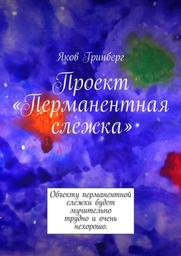 Яков Гринберг Проект «Перманентная слежка» обложка книги