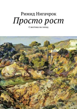 Римид Нигачрок Просто рост обложка книги