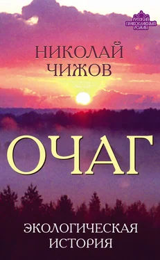 Николай Чижов Очаг. Экологическая история обложка книги