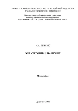 Инна Резник Электронный банкинг обложка книги