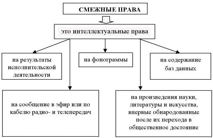 Рис 10 Смежные права 2 фонограммы то есть любые исключительно звуковые - фото 10