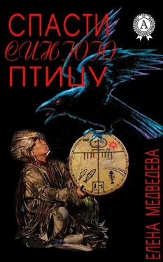 Елена Медведева Спасти синюю птицу обложка книги