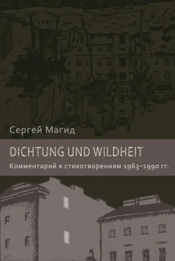 Сергей Магид Dichtung und Wildheit. Комментарий к стихотворениям 1963–1990 гг. обложка книги